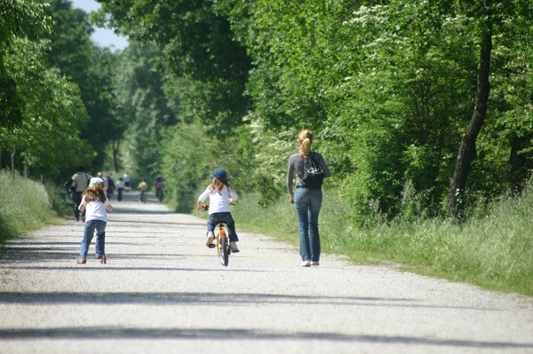 Promeneurs sur un chemin