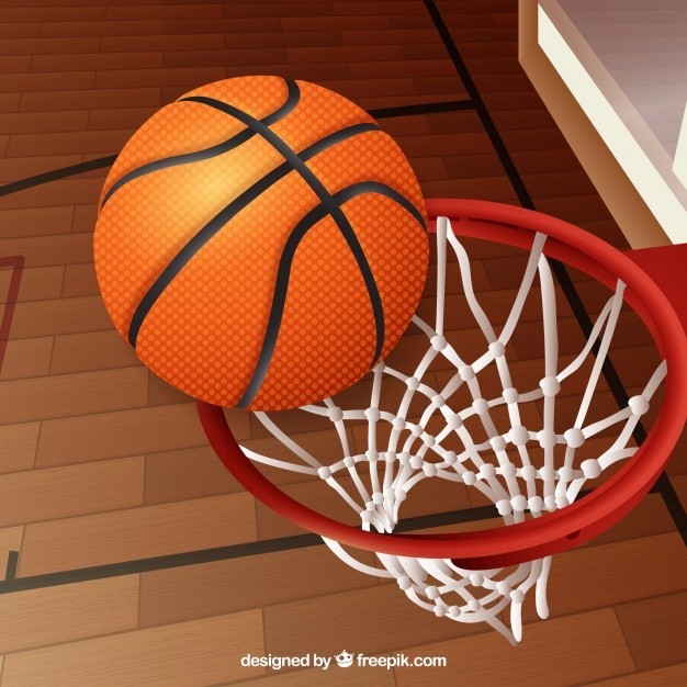 basket14
