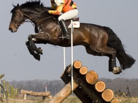 concourscomplet1