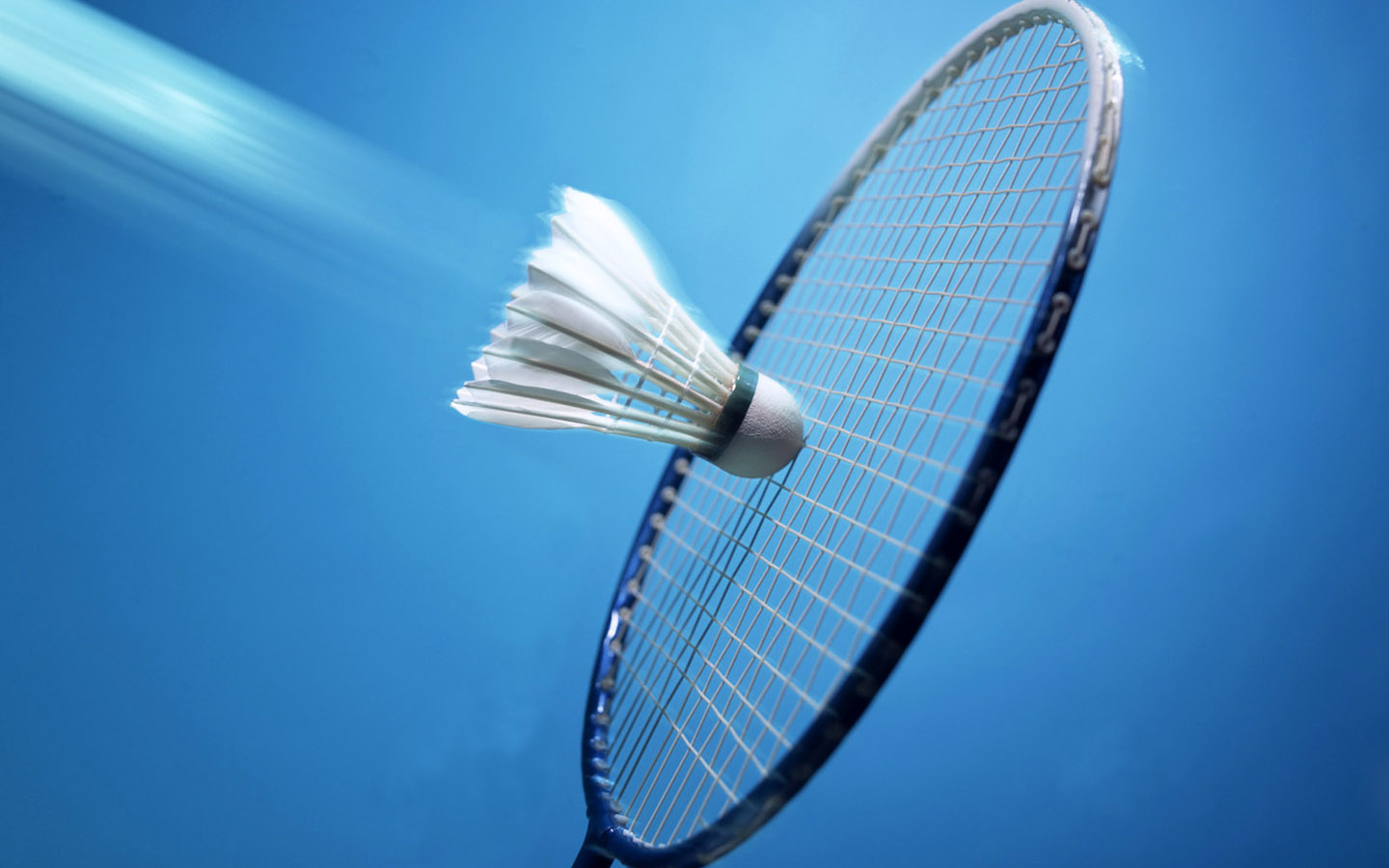 badminton3