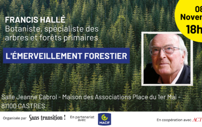 f_halle_castres_1