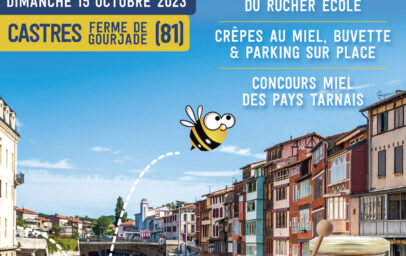 flyer_castres_a4_v2