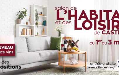 5_modeles_internet_et_facebook_2024_agenda_800x400_px