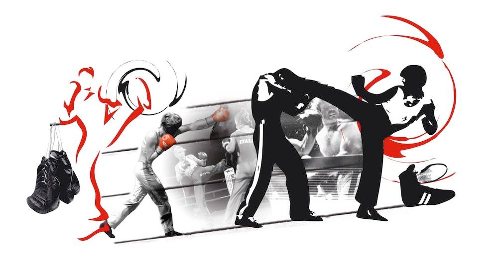 academie_castraise_boxe_francaise