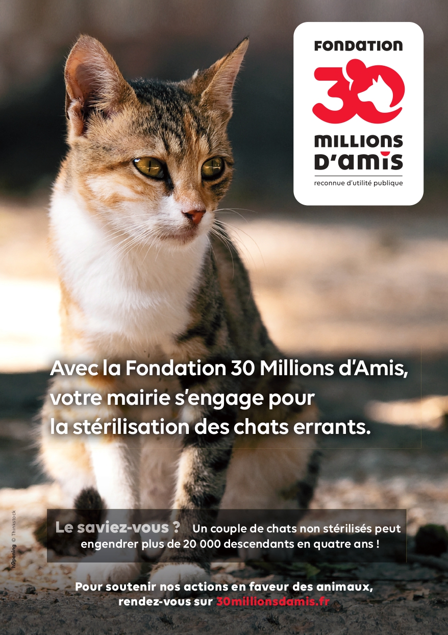 affiche-mairie-chat_page-0001.jpg affiche-mairie-chat_page-0001.jpg