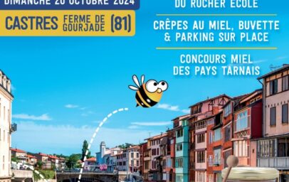 foire_au_miel_29