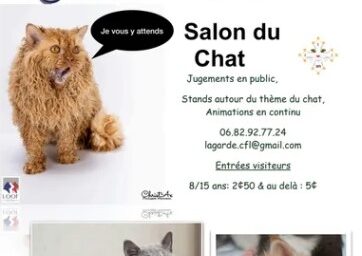salon_du_chat_2024