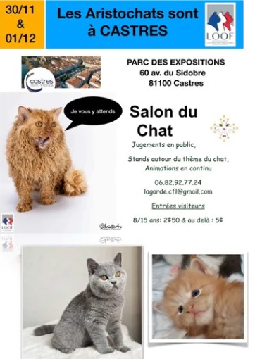 salon_du_chat_2024