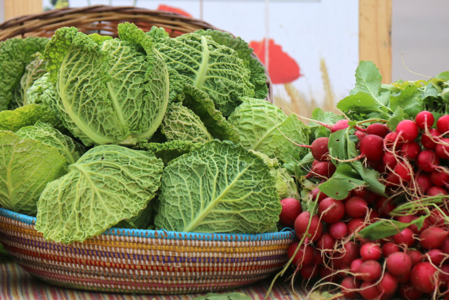 MARCHE-DE-PRODUCTEURS-NOCTAMBIO-PLACE-PIERRE-FABRE-2021
